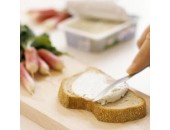 丹尼斯克 硬脂酰乳酸鈉 丹尼斯克 硬脂酰乳酸鈉